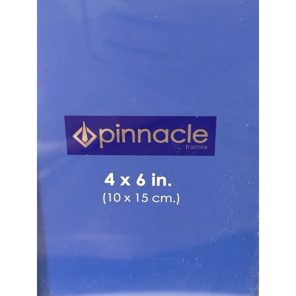 NEW Set of 2 Pinnacle Silver Picture Frames Holds 4